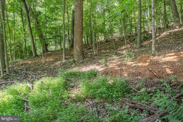 10 Dove Trl, Fairfield, PA 17320