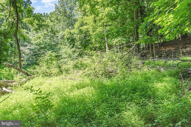 10 Dove Trl, Fairfield, PA 17320