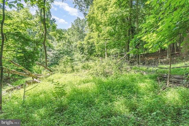 10 Dove Trl, Fairfield, PA 17320