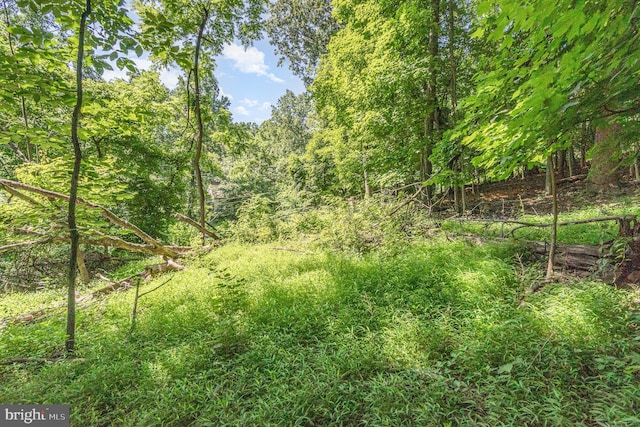 10 Dove Trl, Fairfield, PA 17320