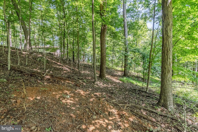 10 Dove Trl, Fairfield, PA 17320