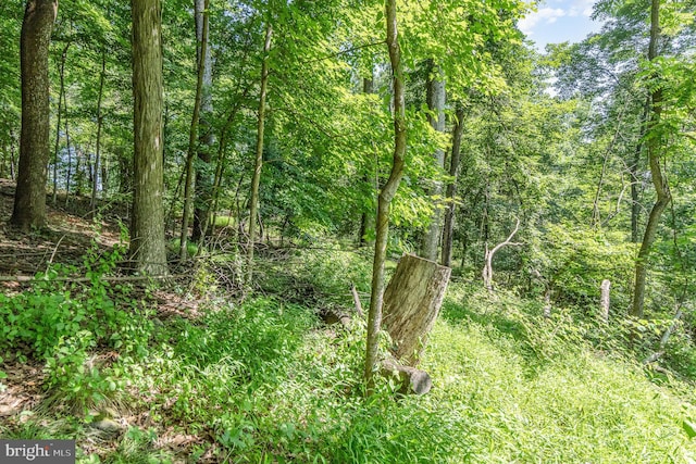 10 Dove Trl, Fairfield, PA 17320