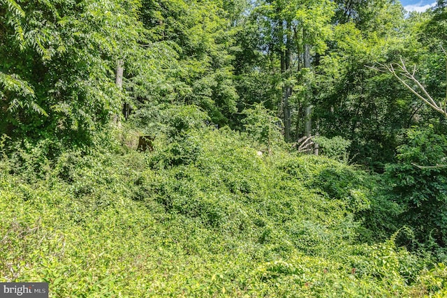 10 Dove Trl, Fairfield, PA 17320