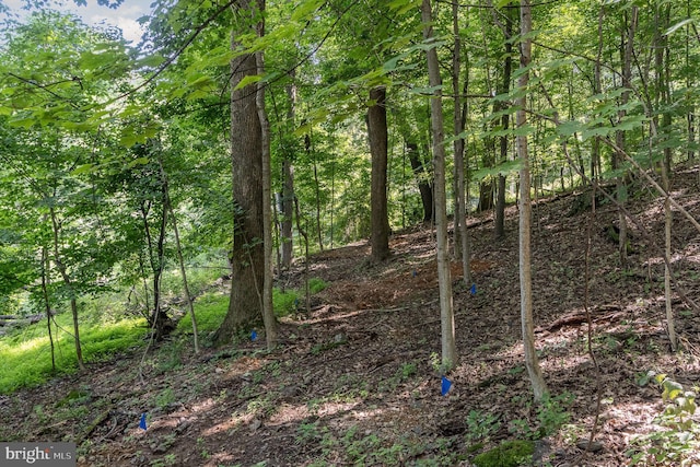 10 Dove Trl, Fairfield, PA 17320