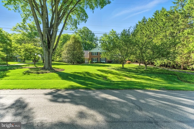 508 Vierling Dr, Silver Spring, MD 20904 - view of grassy yard