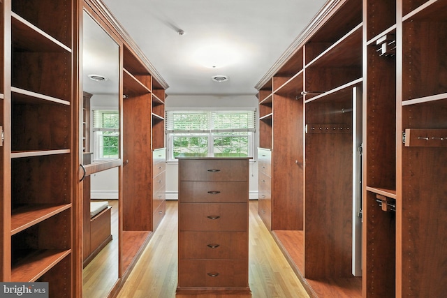 508 Vierling Dr, Silver Spring, MD 20904 - spacious closet featuring wood finished floors and baseboard heating