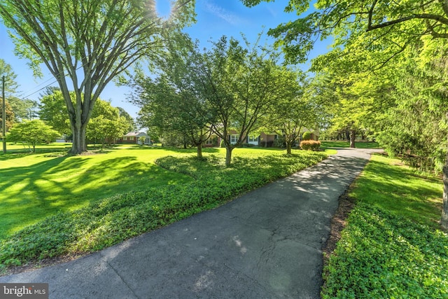508 Vierling Dr, Silver Spring, MD 20904 - view of property's community featuring a yard