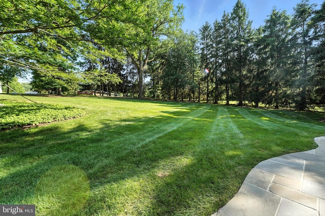 508 Vierling Dr, Silver Spring, MD 20904 - view of grassy yard