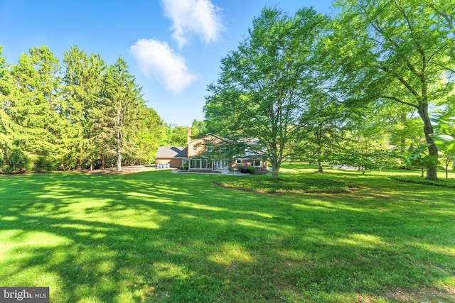 508 Vierling Dr, Silver Spring, MD 20904 - view of grassy yard