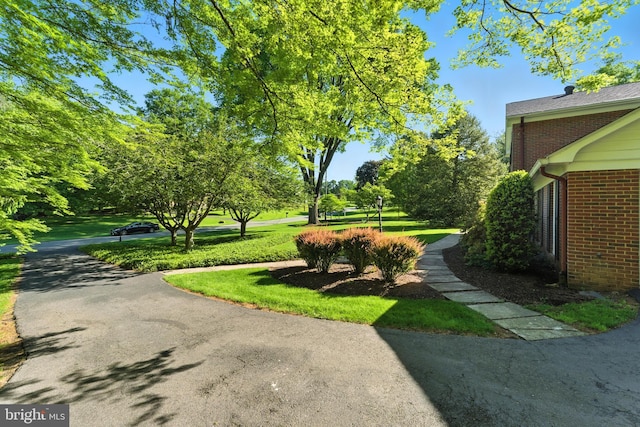 508 Vierling Dr, Silver Spring, MD 20904 - view of yard