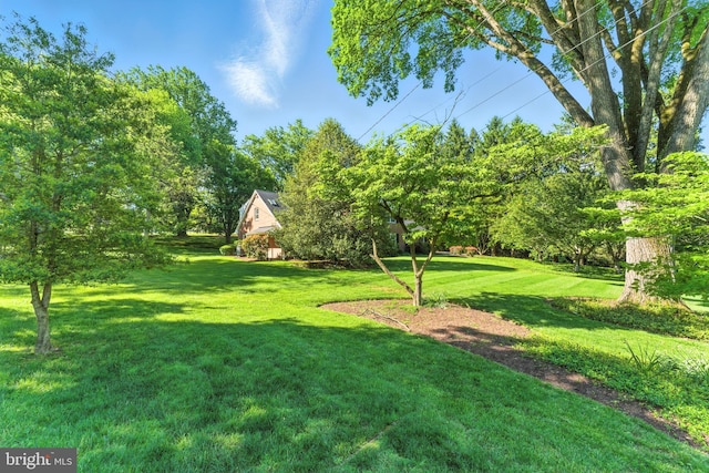 508 Vierling Dr, Silver Spring, MD 20904 - view of grassy yard