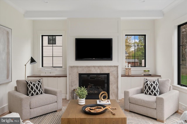 2724 N Dinwiddie St, Arlington, VA 22207 - living room featuring a premium fireplace and wood finished floors