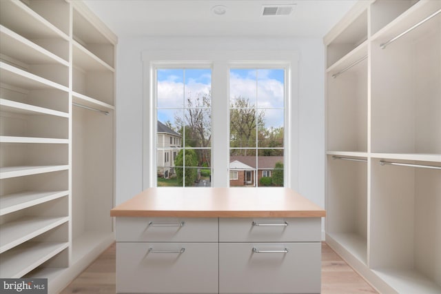 2724 N Dinwiddie St, Arlington, VA 22207 - spacious closet with light wood-type flooring