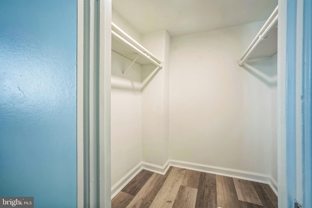 4939 Americana Dr Unit 106, Annandale, VA 22003 - spacious closet with dark wood-type flooring