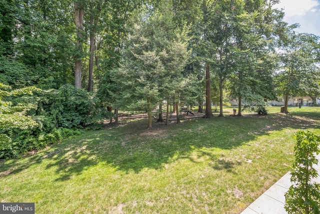4939 Americana Dr Unit 106, Annandale, VA 22003 - view of grassy yard