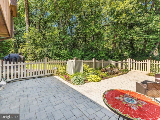 12263 Greenleaf Ave, Potomac, MD 20854 - view of patio