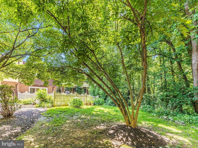 12263 Greenleaf Ave, Potomac, MD 20854 - view of fenced yard