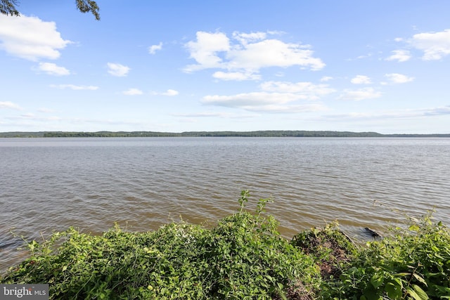 906 Danton Ln, Alexandria, VA 22308 - water view