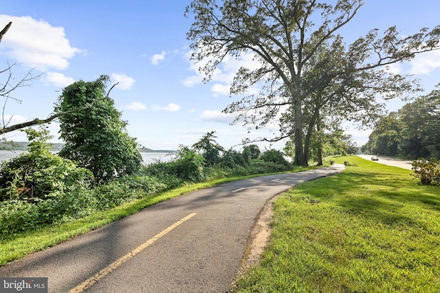 906 Danton Ln, Alexandria, VA 22308 - view of road