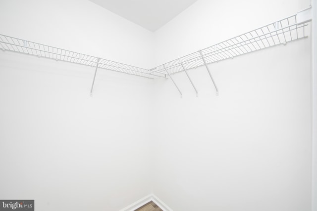 304 Amy Way, Cinnaminson, NJ 08077 - walk in closet with wood finished floors