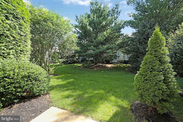304 Amy Way, Cinnaminson, NJ 08077 - view of green lawn