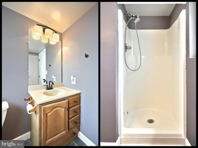 4604 View Dr, Spring Grove, PA 17362 - full bathroom with walk in shower and vanity