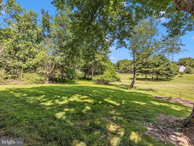 23732 Rolling Fork Way, Gaithersburg, MD 20882 - view of green lawn