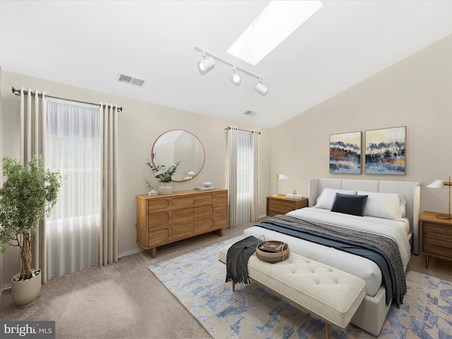 23732 Rolling Fork Way, Gaithersburg, MD 20882 - bedroom with a skylight, carpet, rail lighting, and lofted ceiling