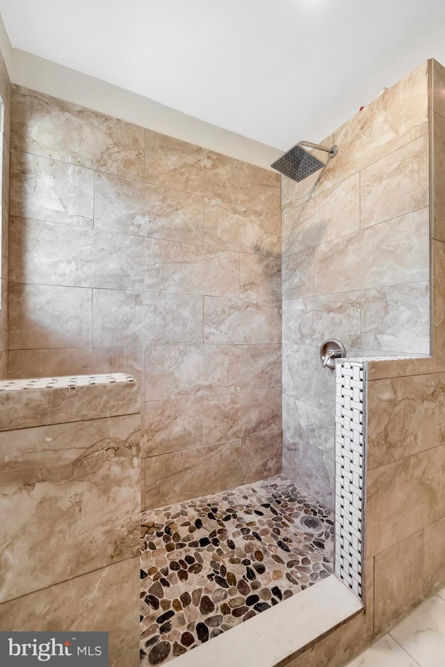 100 Powelton Ave, Lansdowne, PA 19050 - full bathroom with tiled shower