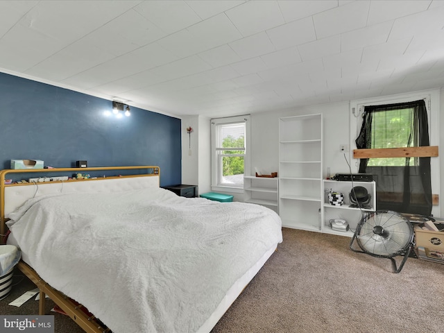 702 N Warren St, Orwigsburg, PA 17961 - bedroom featuring carpet floors