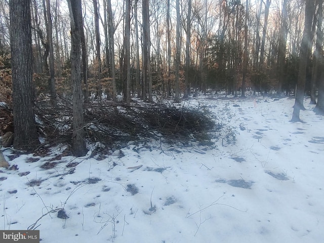 Gunston Rd, Lorton, VA 22079