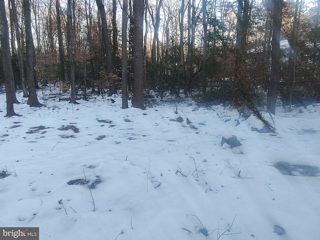 Gunston Rd, Lorton, VA 22079