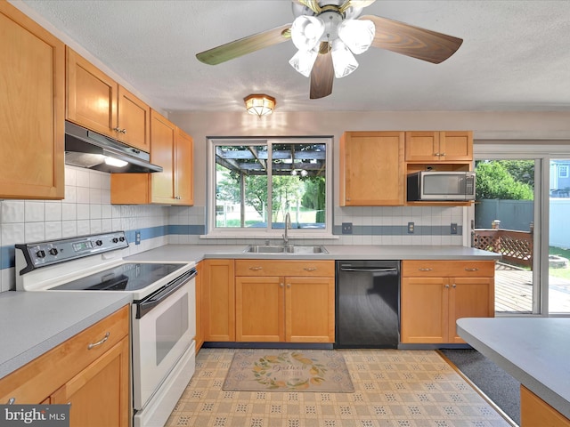 171 Tanglewood Ln, Lancaster, PA 17601 - kitchen with white electric range oven, dishwasher, under cabinet range hood, stainless steel microwave, and plenty of natural light