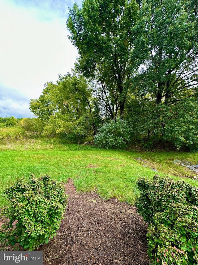 44203 Litchfield Ter, Ashburn, VA 20147 - view of yard