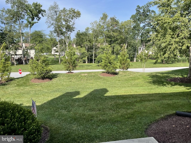 202 Meadow Ct Unit 202, Glen Mills, PA 19342 - view of green lawn
