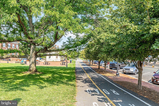 815 Branch Dr Unit 305, Herndon, VA 20170 - view of property's community featuring a yard
