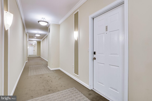 815 Branch Dr Unit 305, Herndon, VA 20170 - corridor with crown molding and carpet floors