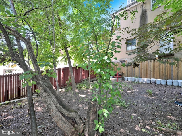 234 N Coal St, Port Carbon, PA 17965 - view of fenced backyard