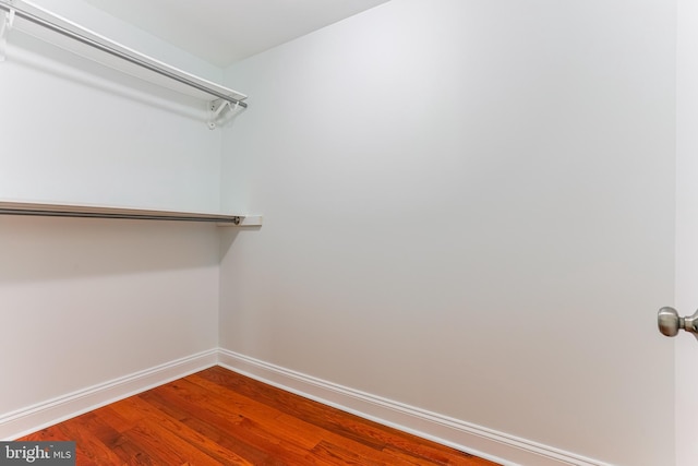 228 Warren Blvd, Broomall, PA 19008 - walk in closet featuring wood finished floors