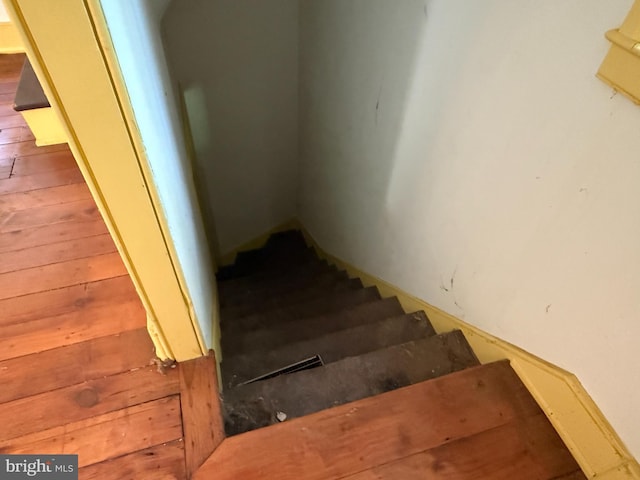 10 Kricks Mill Rd, Womelsdorf, PA 19567 - staircase featuring wood finished floors