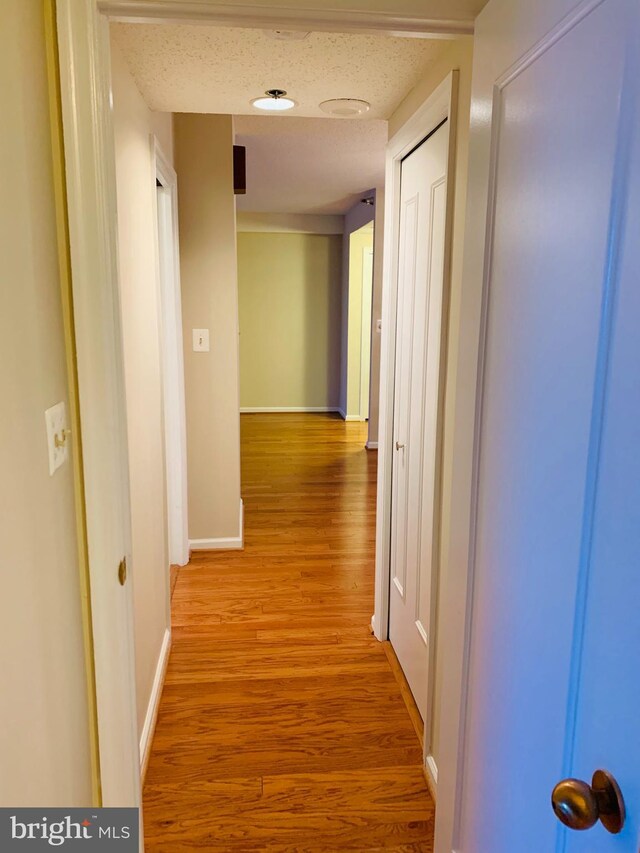 5800 Nicholson Ln Unit 1-908, Rockville, MD 20852 - corridor with light wood-type flooring and a textured ceiling