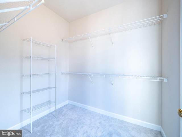 591 Odendhal Ave Unit 591, Gaithersburg, MD 20877 - walk in closet featuring carpet floors