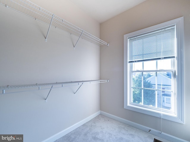 591 Odendhal Ave Unit 591, Gaithersburg, MD 20877 - walk in closet with light carpet
