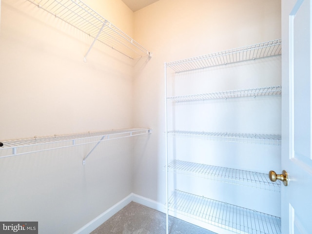 591 Odendhal Ave Unit 591, Gaithersburg, MD 20877 - spacious closet with carpet floors