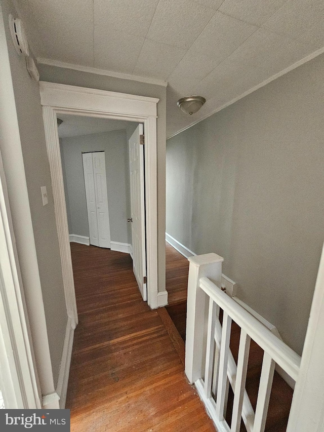 3902 Howland St, Philadelphia, PA 19124 - corridor featuring wood finished floors and crown molding