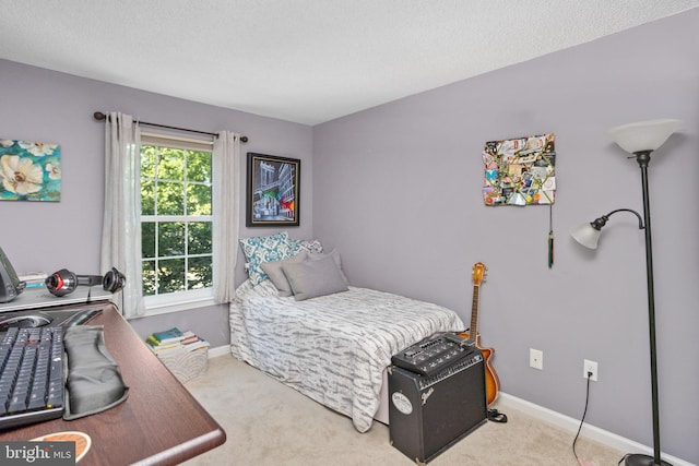 8 Cheverny Ct, Hamilton, NJ 08619 - bedroom with carpet flooring and baseboards
