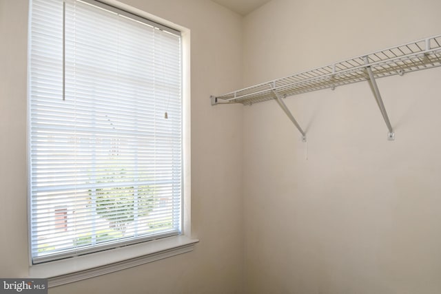 42825 Pamplin Ter, Chantilly, VA 20152 - view of spacious closet