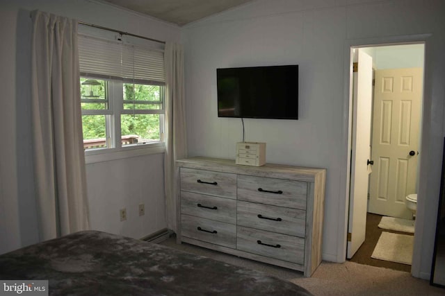 53 Snow Bird Trl, Fairfield, PA 17320 - bedroom with crown molding and light colored carpet
