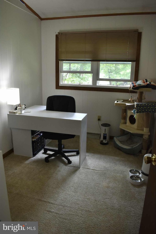 53 Snow Bird Trl, Fairfield, PA 17320 - office featuring ornamental molding and carpet flooring