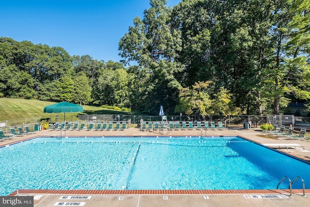 8384 Forrester Blvd, Springfield, VA 22152 - community pool featuring a patio